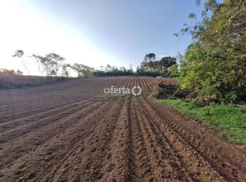 Rural · 6000m² · Chácara/Terreno em Contenda