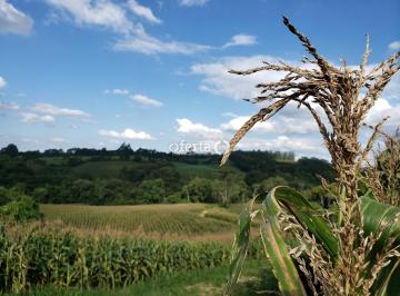 Rural · 24200m² · Chácara em Contenda