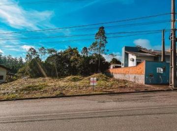 Foto 12 · TERRENO A VENDA COM 325,00M² NO BAIRRO DE NEREU RAMOS, JARAGUA DO SUL,SC.