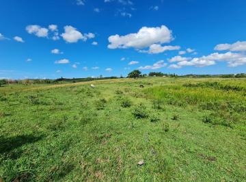 Rural , Araruama · Fazenda com 52 Alqueires à Venda em Araruama