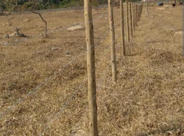 i925Sa9_225267aa5a622ce91.jpg · Lote / Terreno à venda em Esmeraldas, no bairro Fernão Dias