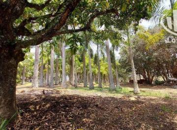 26eccdae47a14216eb17d0b8d03587914db5e276 · Sítio à venda, 24200 m² - Rural - Santo Antônio de Posse/SP