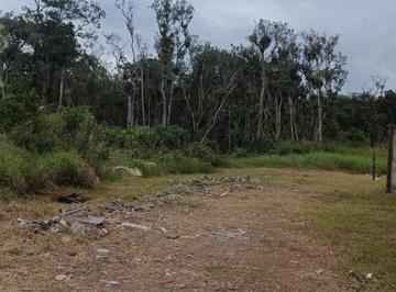 24140783_4.jpg · Terreno 367,50 m² no Balneário Currais em Matinhos