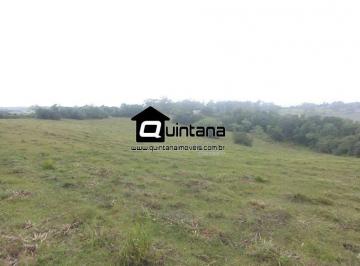 Rural · 210000m² · Vendo 21 hectares no Morro Redondo, Capela da Buena