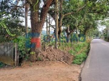 Estrada Leopoldo Bortolossi e portão de acesso · Sítio à venda na Estrada Leopoldo Bortolossi em Itatiba- Sp