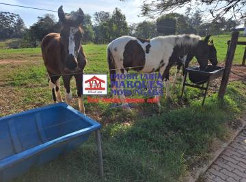 Rural · 145200m² · 3 Quartos · Belo Haras em Itatiba/SP/BR - (Hel. Fonç.)
