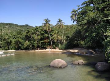 Terreno · 68250m² · Linda ilha na Praia dos Marques, Enseada de Palmas, Ilha Grande-RJ