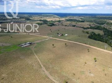Foto 01 · Fazenda de 1.240 hectares à venda em Mascote-BA: sua oportunidade de investimento no campo!