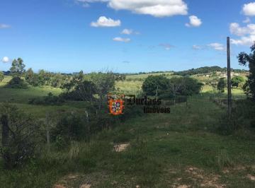 58317f967db2139400308ffb4b9fcbb6d28a9d91 · Fazenda à venda, 52 alqueires por R$ 9.100.000 - Estrada de São Vicente - Araruama/RJ