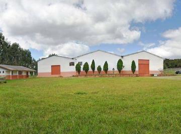 ec9caa2f26bde624ba255b4a8ac6f4079eb98846 · BARRACÃO COM 3500M² CONSTRUÍDOS, NA ENTRADA DE TIJUCAS DO SUL/PR. LOCALIZAÇÃO MARAVILHOSA!