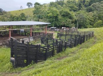 Rural · 79ha · Sítio para Pecuária Próximo a Rodovia