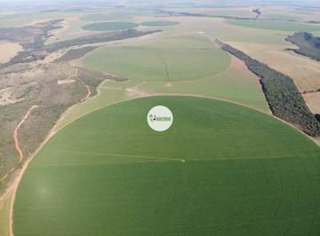 Rural , Unaí · Fazenda a venda em Unaí-MG - 608 HA - 212,95 há em pivôs centrais