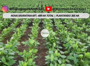 Rural , Nova Xavantina · Fazenda a venda em Nova Xavantina-MT - 489 HA - Plantando 305 - Safra e safrinha