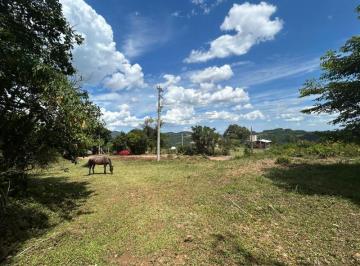 Foto 11 · Área de Terras com 26,45 Ha Em Sapiranga