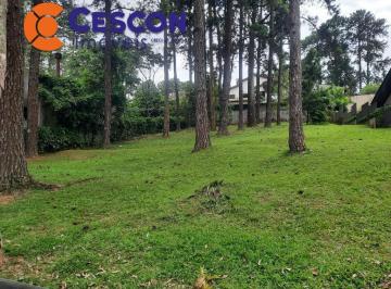 Foto 01 · Terreno, Aldeia da Serra, Barueri, SP