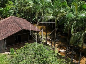 Foto 15 · Chácara à beira de um rio de águas cristalinas, cercada por exuberante vegetação da Mata Atlântica -