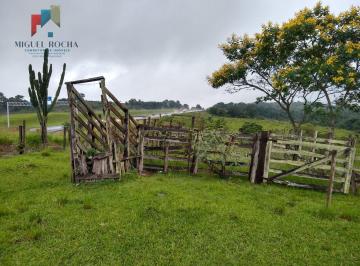 Rural · 205700m² · Sítio em Centro, Quadra/SP