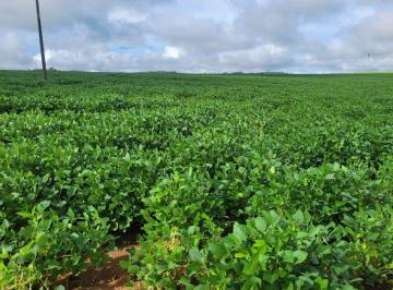 0fb81f2f-033b-4e45-9e56-4e7a3e26cd451737390147021.jpg · Fazenda à venda, 90 KM de Guarantã do Norte, MT