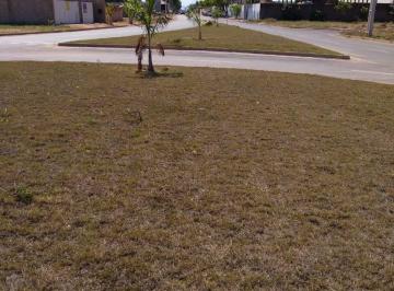 terreno-a-venda-200m-alvorada-cuiaba-mt1716225537805tqroy.jpg · Terreno à venda 200M², Alvorada, Cuiabá - MT