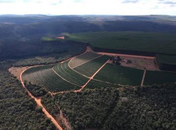 Rural de 4 quartos, Piumhi · Fazenda - Piunhi-MG, 3186HA, Agricultura, Café, Eucalipto, Maquinário Completo