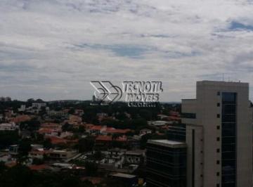 Apartamento · 168m² · 3 Quartos · 2 Vagas · Belo Apto Com 233m² - Com Bela Vista Para a cidade de Campinas