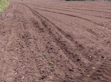 Rural , Bonito · Fazenda com 80 hectores em Bonito