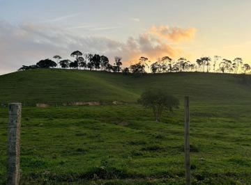 Terreno · 7000m² · Terreno à venda na Rua São Pedro - Guabiruba/SC