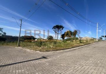 090c7190aec9a6702a953bbea419663455a33068.jpg · Terrenos venda Bairro São Ciro