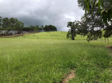 202501231932085286.jpg · Sítio para Venda em Pinhalzinho, ZONA RURAL, 2 dormitórios, 1 suíte, 3 banheiros, 5 vagas