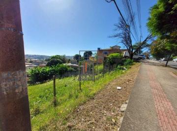 MRR_60_2025-01-13_14-19-01.jpg · Venda, Palmeiras, Belo Horizonte, Minas Gerais, Brasil