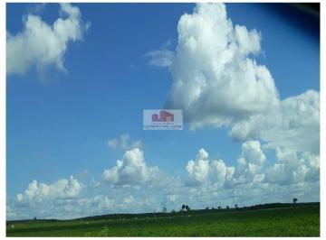 2430a84c789444e193bc335215bf751b.jpg · Fazenda com 330 hectares, terra bruta, própria para grãos e pecuária