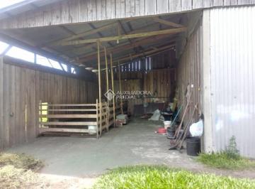 673383_i8Y4674_673383679280ee57c7d.jpg · Sitio a venda em Viamão RS