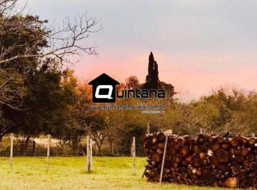 Rural · 90000m² · 1 Quarto · 18 Vagas · VENDO CABANHA 30 MINUTOS DO CENTRO DE PELOTAS