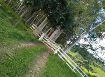 Rural , Santa Maria da Serra · FAZENDA STA MARIA DA SERRA