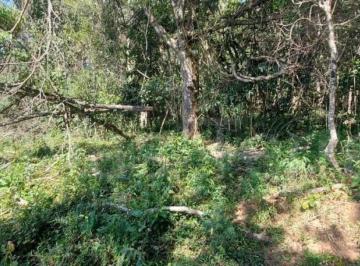 Rural , Piracema · CHÁCARA COM 9.700 M² À VENDA EM PIRACEMA - MG
