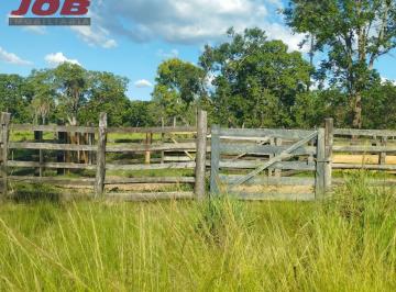 Foto 01 · Fazenda, Zona Rural, Formosa, GO