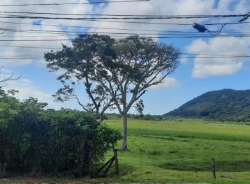 H · Terreno com 4.300 m² no bairro Pântano do sul