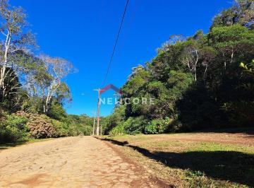 Terreno · 750m² · Lote em Avenida Ximangos - Colinas - São Francisco de Paula/RS
