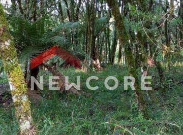 Terreno en Venda   · Lote em condomínio em ERS 466 - Bosque sinoserra - Canela/RS