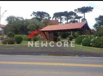 Terreno · 3700m² · Lote em Rua dos Jasmins - Colinas - São Francisco de Paula/RS