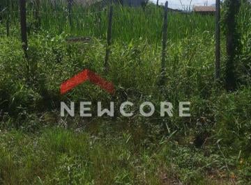 Terreno · 125m² · Lote em Rua Das Palmeiras - Balneário Flórida Mirim - Mongaguá/SP