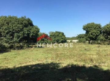 Rural · 87000m² · 1 Quarto · Chácara em  Estrada Santa Veridiana - Santa Cruz - Rio de Janeiro/RJ