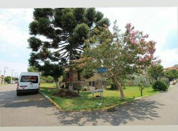 Terreno · 685m² · Lote em Rua treze de maio - São Luiz - Farroupilha/RS