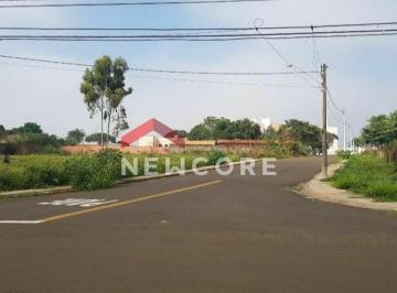 Terreno · 3000m² · 1 Quarto · 1 Vaga · Lote em Rua Carolina Sechetto Martins - Santa Rita - Piracicaba/SP