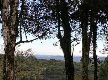 Terreno · 1593m² · Lote em condomínio em Av Borges de Medeiros - Mato Queimado - Gramado/RS