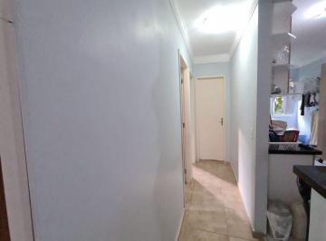 Apartamento 49m² Venda Jardim Myrian Moreira da Costa · Apartamento em Rua Luiz Dionísio de Souza - Jardim Myrian Moreira da Costa - Campinas/SP