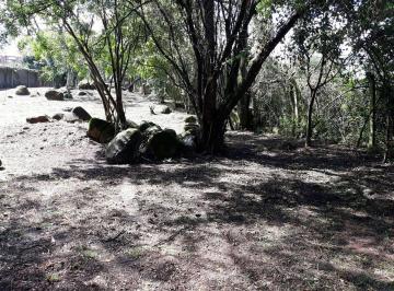 Terreno · 75m² · Lote em Estrada Jacques da Rosa - Lageado - Porto Alegre/RS