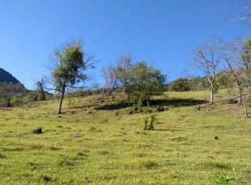 Rural · 90m² · 4 Quartos · 1 Vaga · Sítio em Morro Calçado - Morro Calçado - Canela/RS