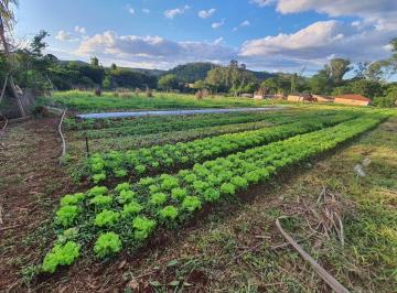 Rural · 3040m² · 1 Quarto · Chácara em ESTRADA SELVA TRES BOCAS LOTE 10 SUBLOTE 2 - Patrimônio Selva - Selva/PR
