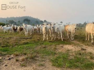 Rural · Fazenda em Linha 6 - Monte Negro, RO